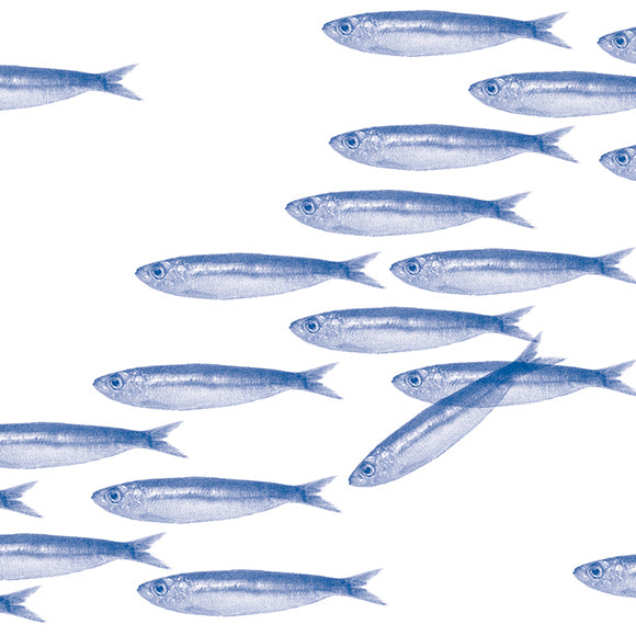 Servetten - Sardines- 25x25