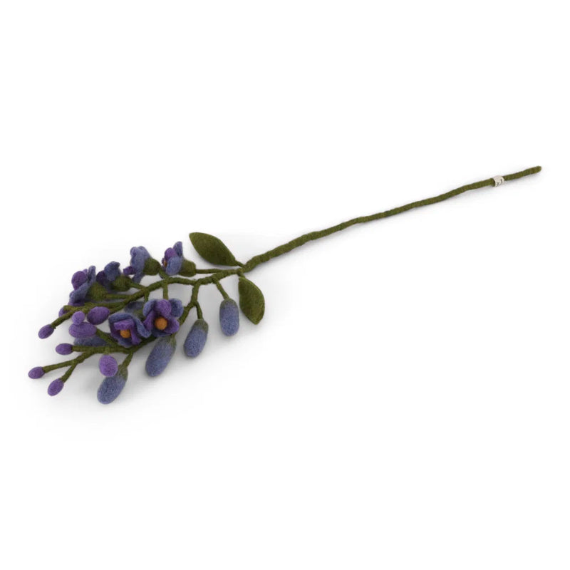 Blauweregen - Paars