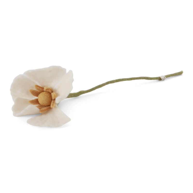 Papaver Bloem - Wit