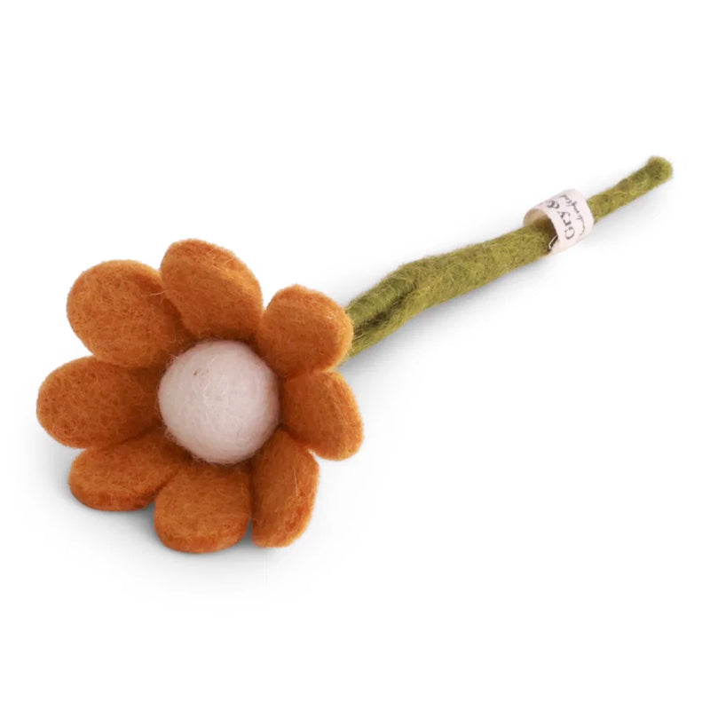 Kleine Anemoon met Blad