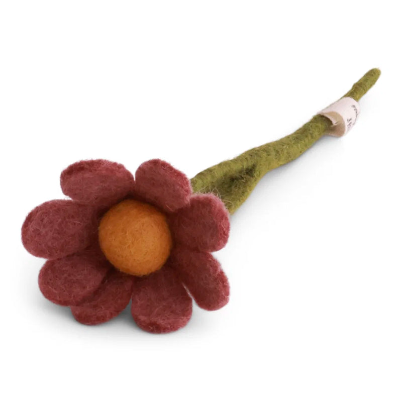 Kleine Anemoon met Blad