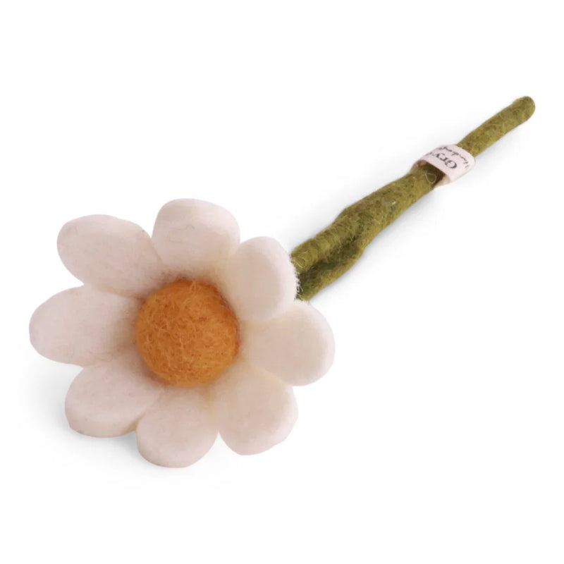 Kleine Anemoon met Blad
