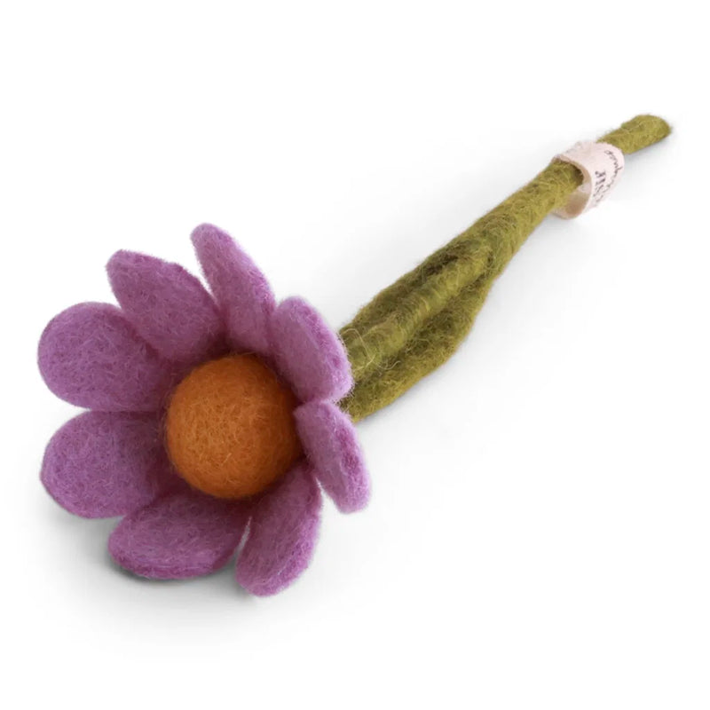 Kleine Anemoon met Blad