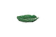 Bladschaal "Cabbage" – 25 × 17 cm