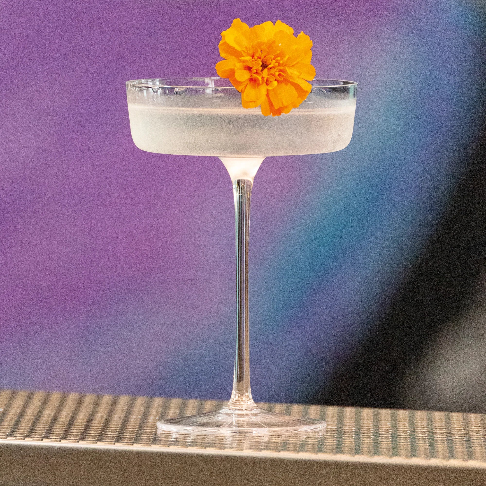 Champagneglazen Ultralight – Set van 4