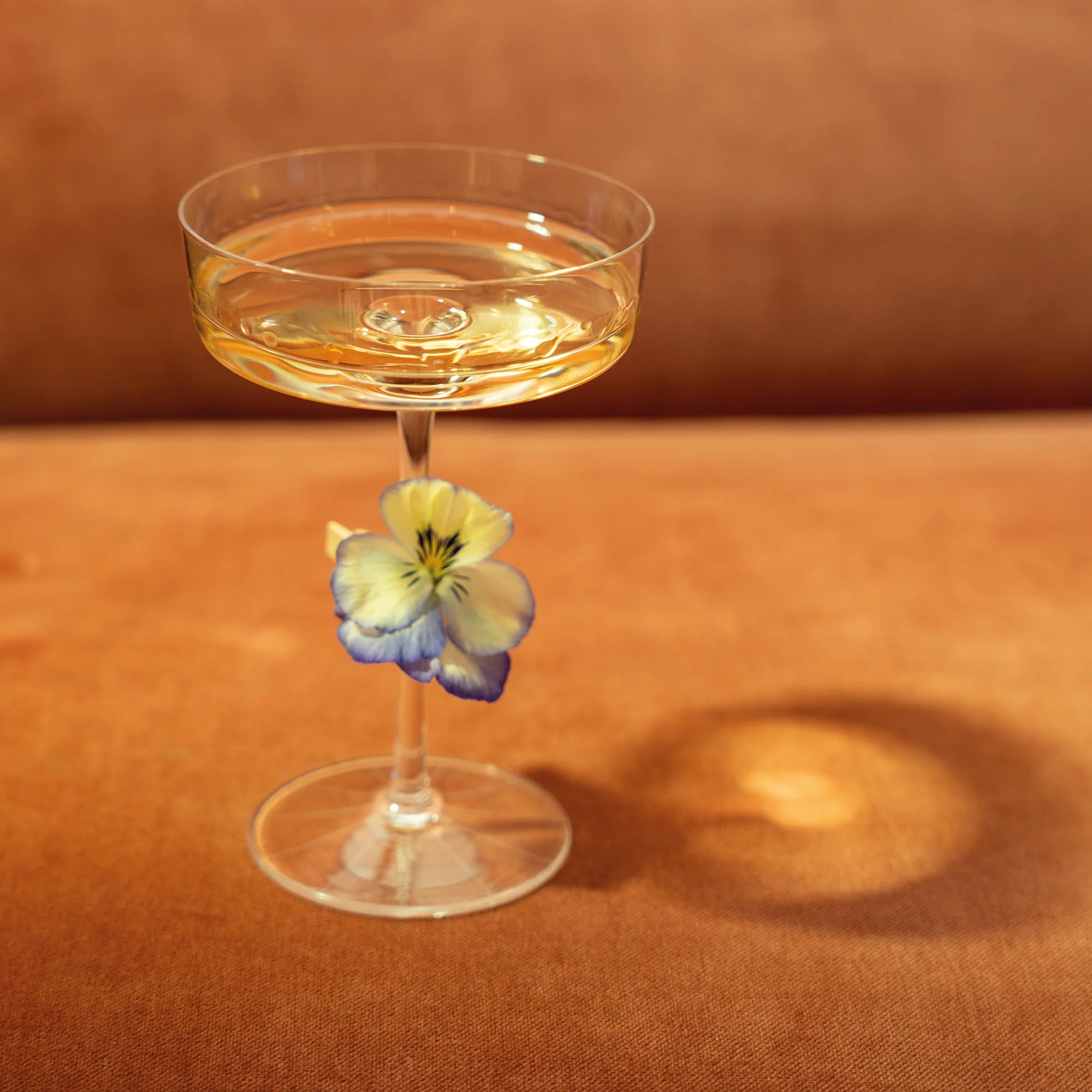 Champagneglazen Ultralight – Set van 4