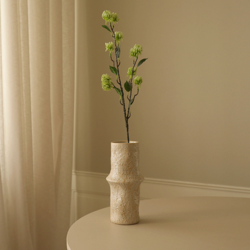 Bloem - Groene Hamamelis tak