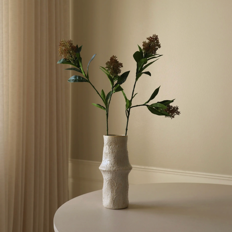 Bloem - Roze Skimmia bes tak