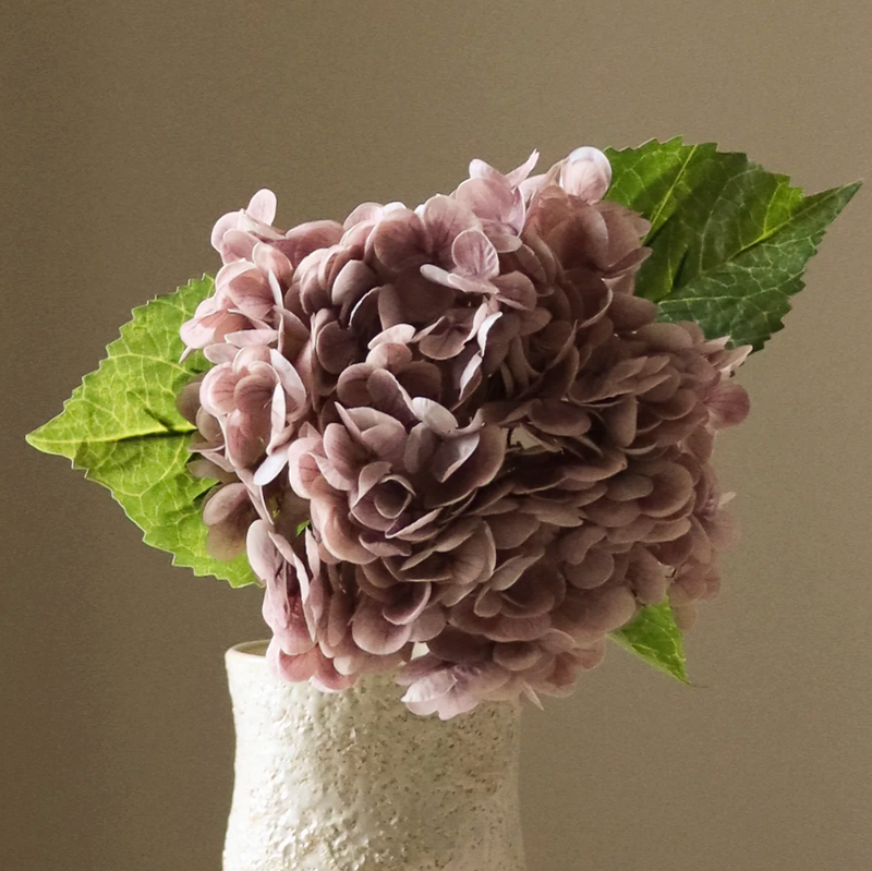 Bloem - Lichtpaarse Hortensia