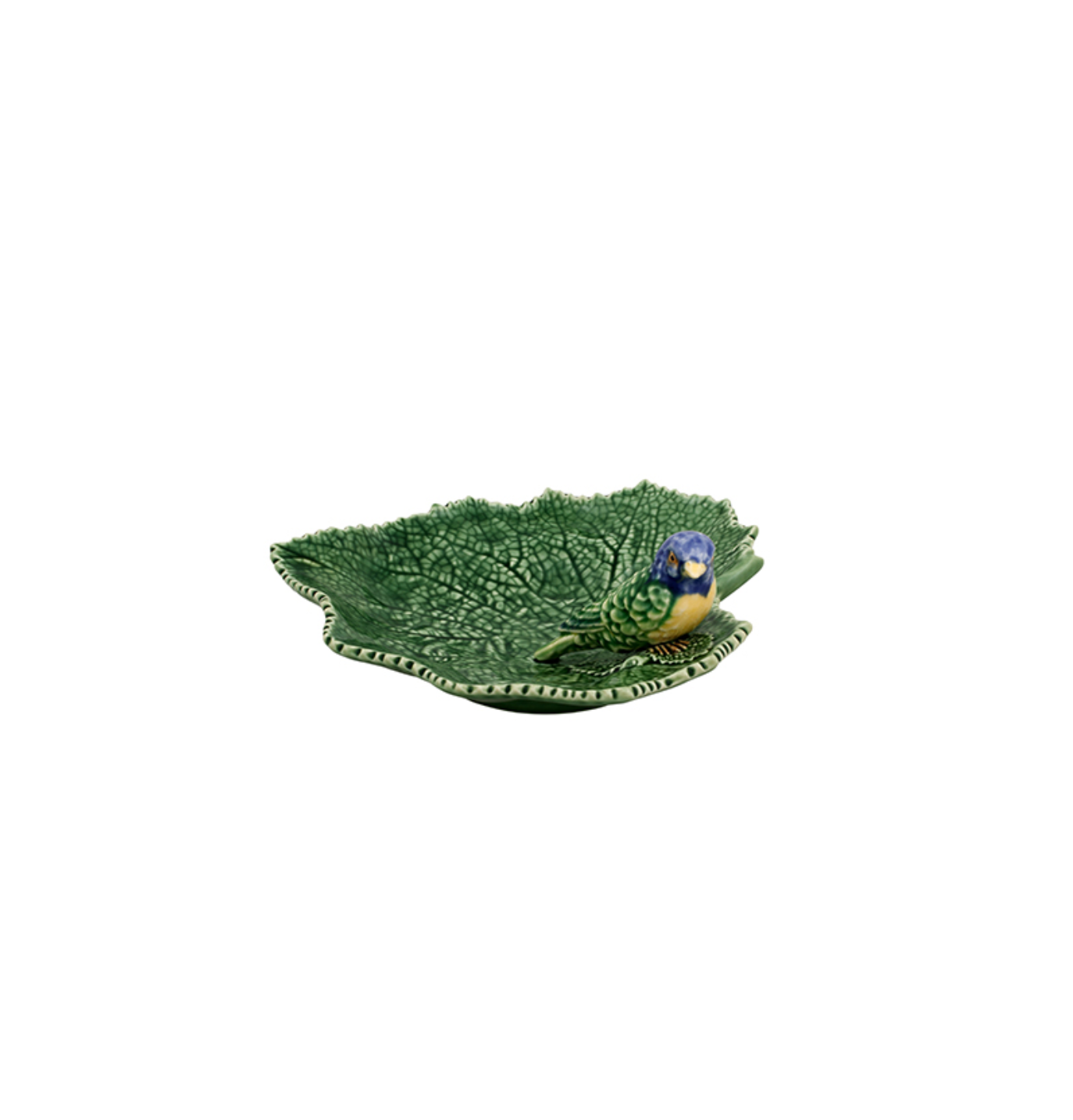 Cinerária – Blad met Blauwe Vogel